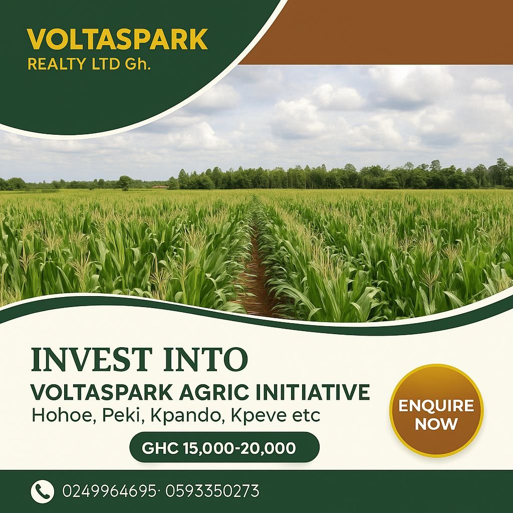 Volta Investment
